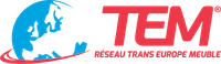 TEM